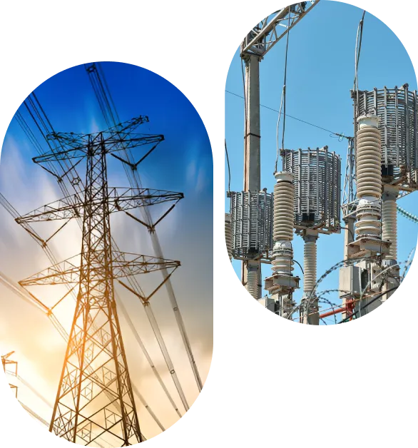 Benefits of ERP for transmission line tower