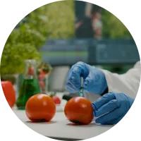 challenge in food safety